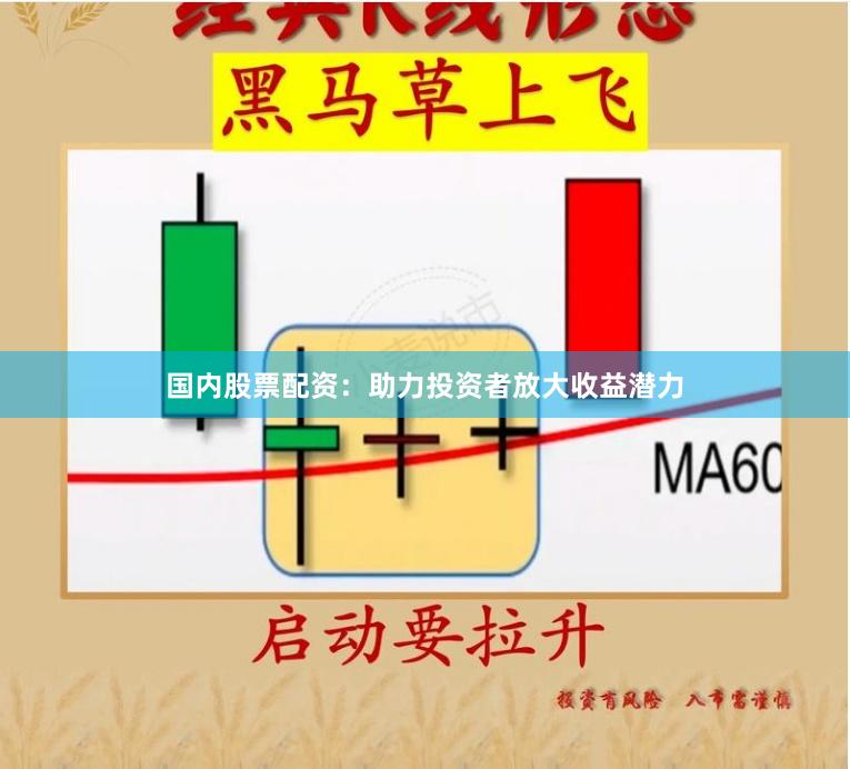 国内股票配资：助力投资者放大收益潜力