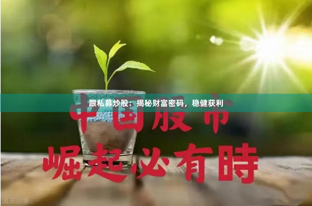 跟私募炒股：揭秘财富密码，稳健获利