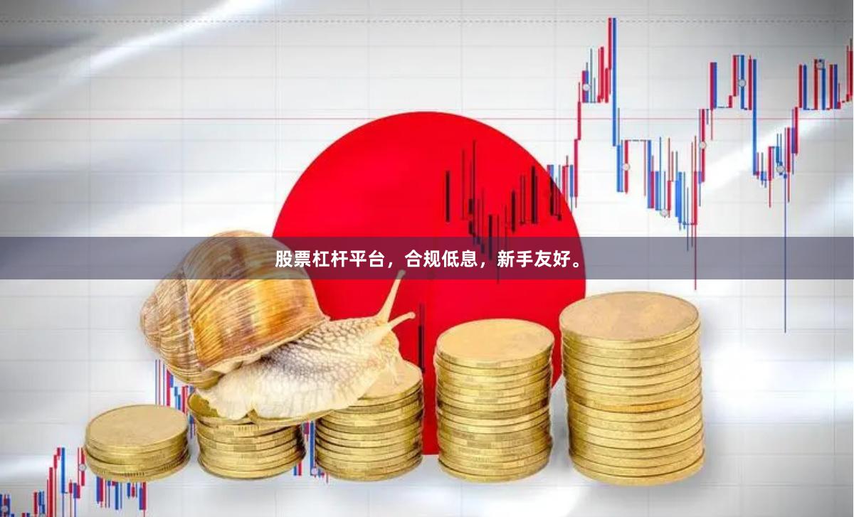 股票杠杆平台，合规低息，新手友好。
